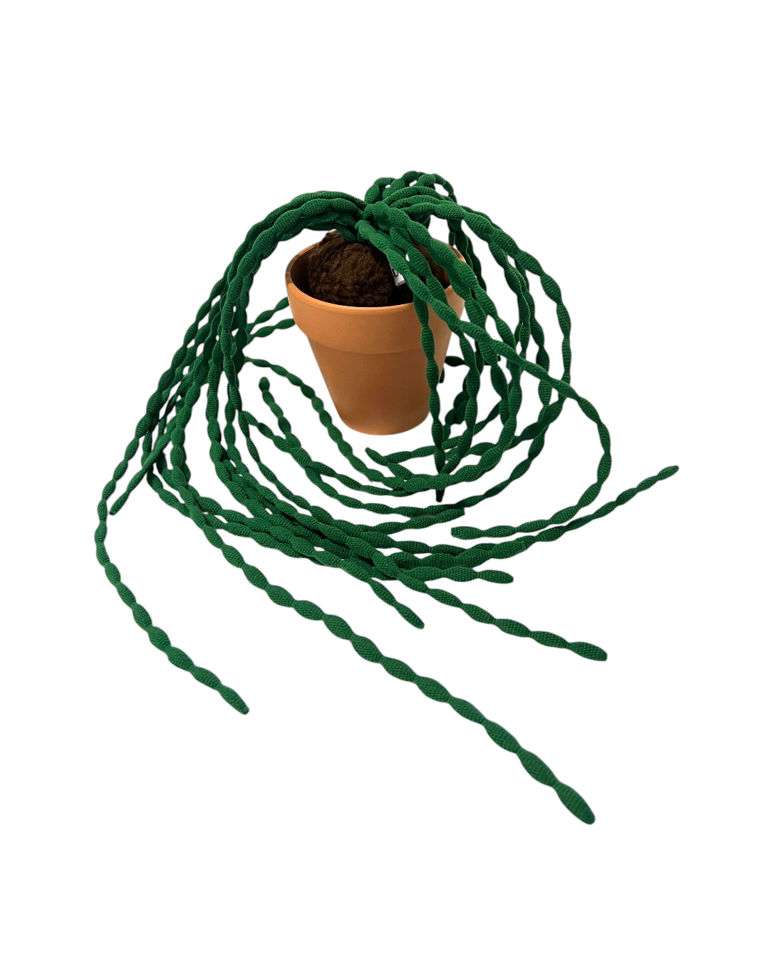 CLUB BB Green bean! Ver.2