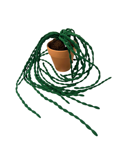 CLUB BB Green bean! Ver.2