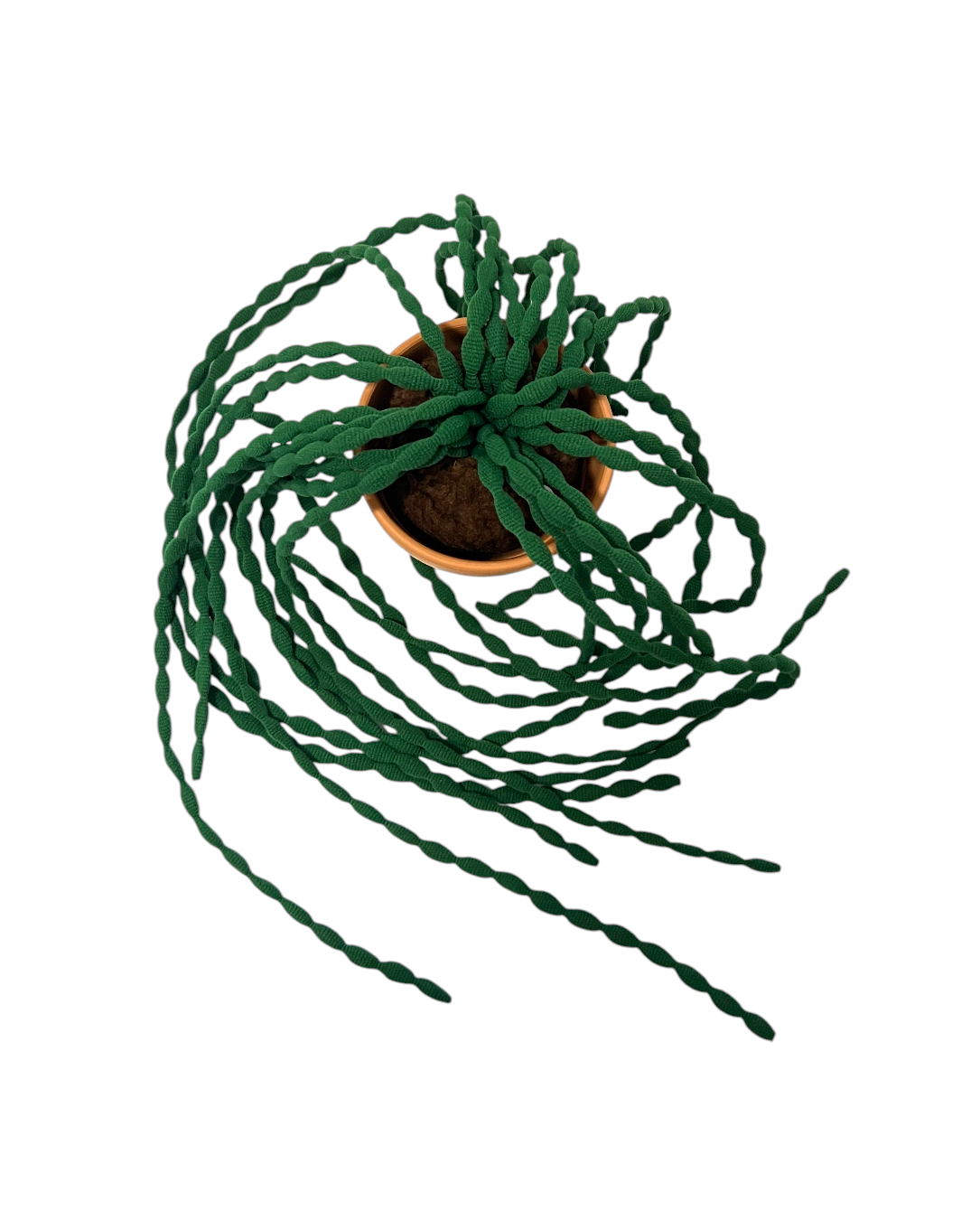 CLUB BB Green bean! Ver.2