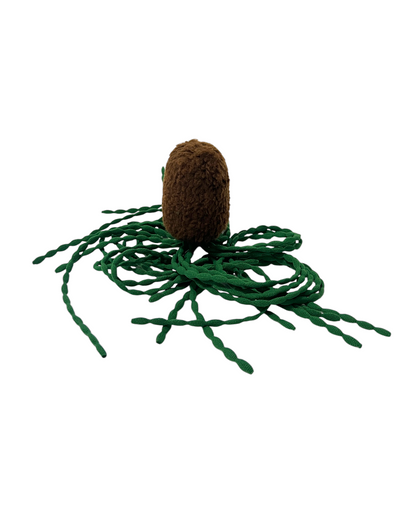 CLUB BB Green bean! Ver.2