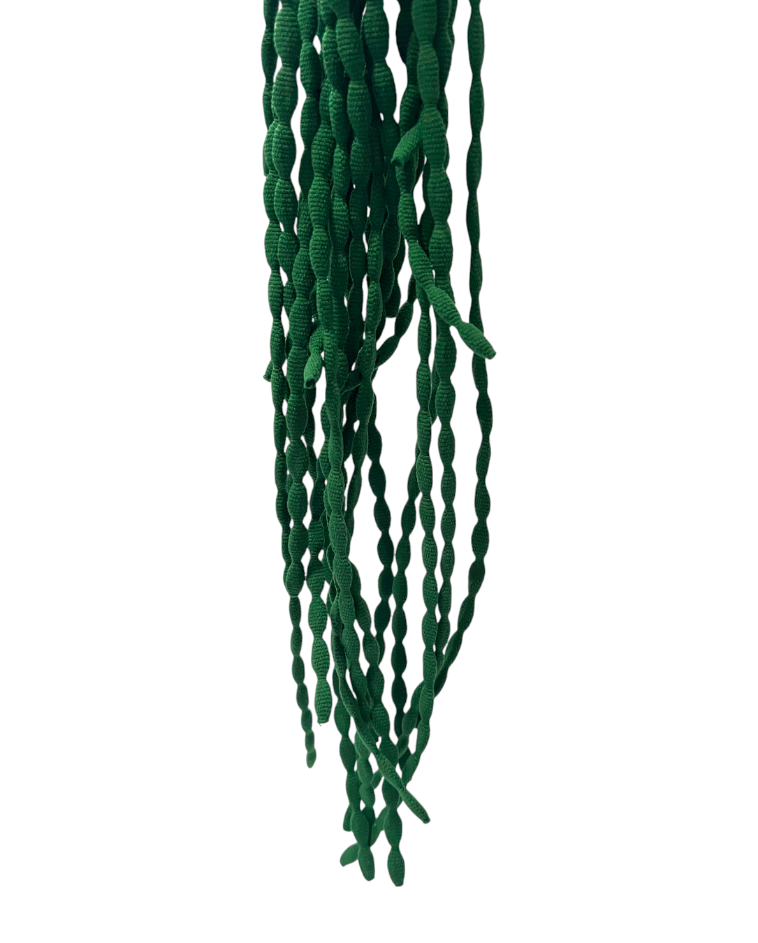 CLUB BB Green bean! Ver.2