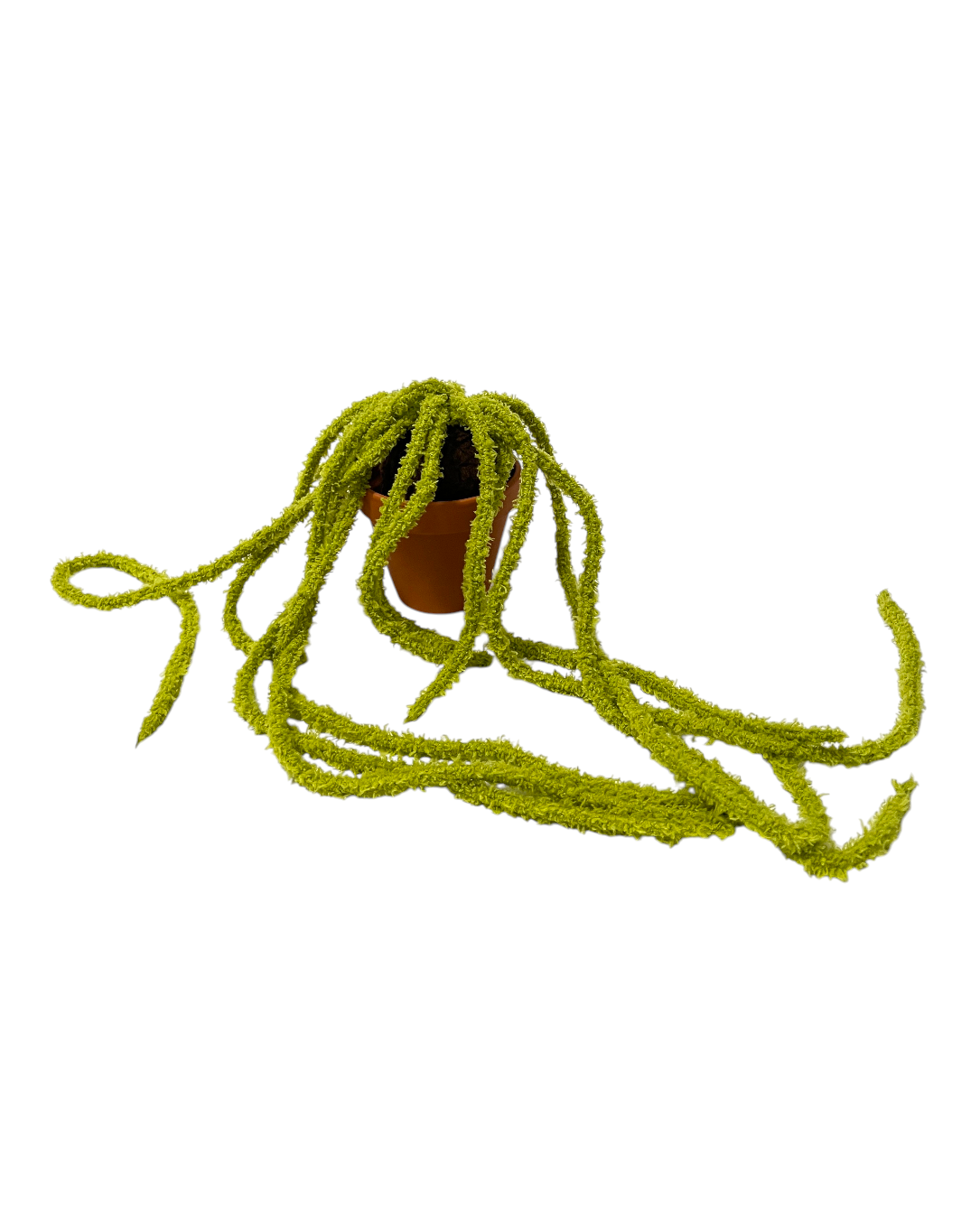 CLUB BB Spaghetti Ver.2