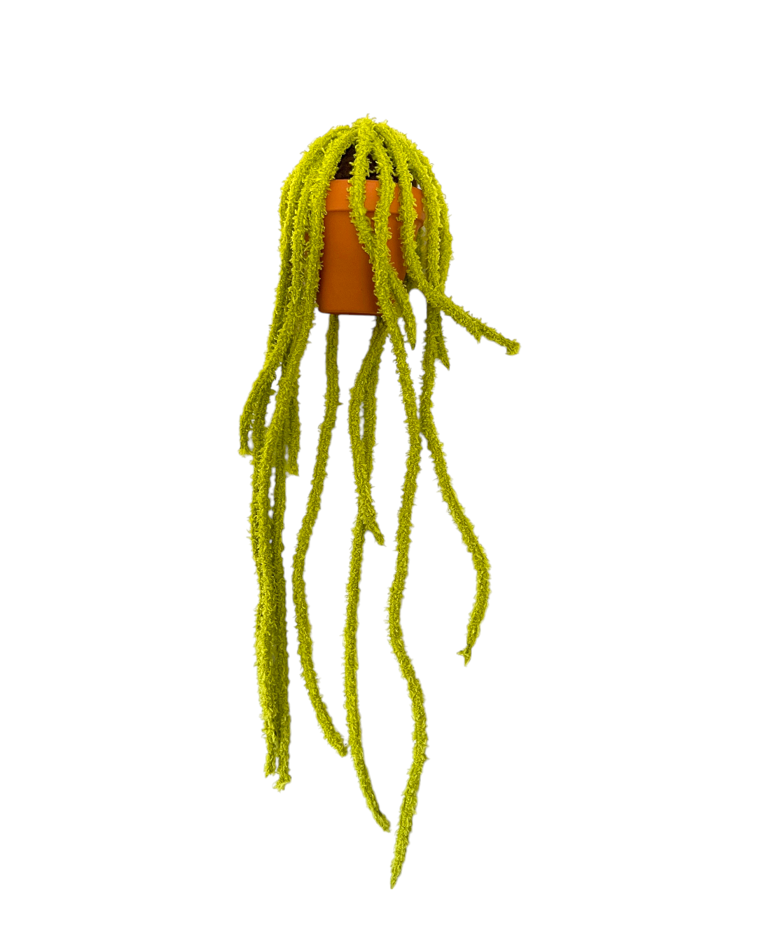 CLUB BB Spaghetti Ver.2