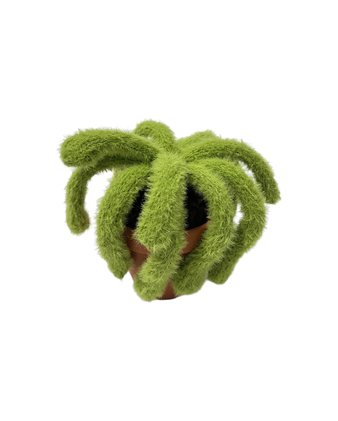 CLUB BB Warm worm!