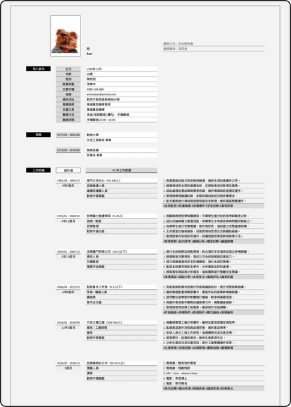 iunnPIM 工作履歷範本 [FREE]